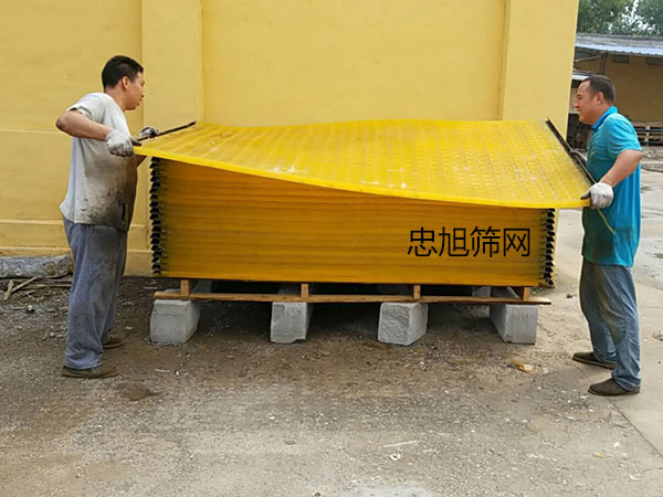 Polyurethane Screen