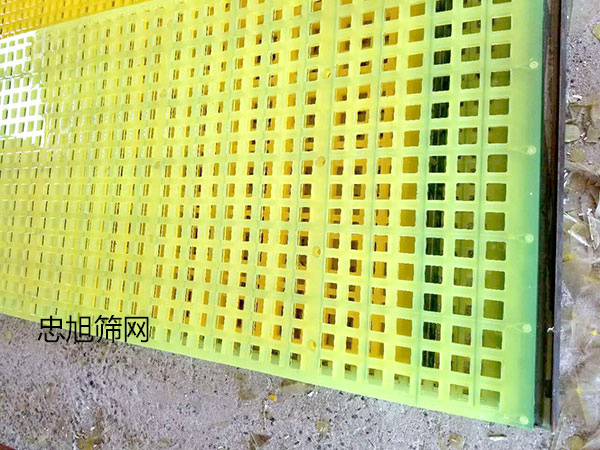 Polyurethane Screen