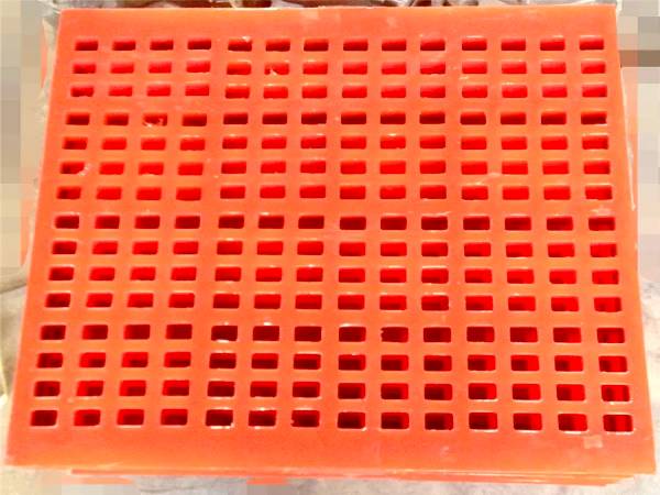 Polyurethane sieve plate