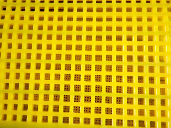 Polyurethane sieve plate